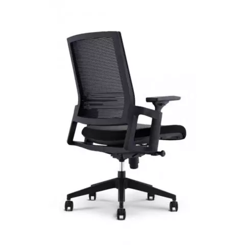 Forte Ergonomic Office Chair (Black) | Dallas DESK, Inc.
