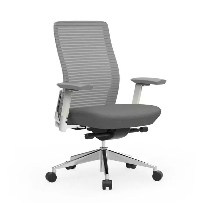 Cherryman Eon Task Chair - Thumbnail 2