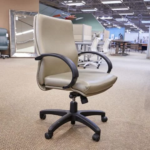 Used Mid Back Executive Swivel Chair (Iridescent Green & Gold) CHE1741-001