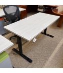 Used Friant 30x60 Sit to Stand Desk (Black & Oak Grey) AHT1806-018